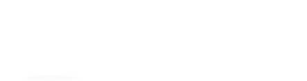 N&N Painting of SWFL Logo
