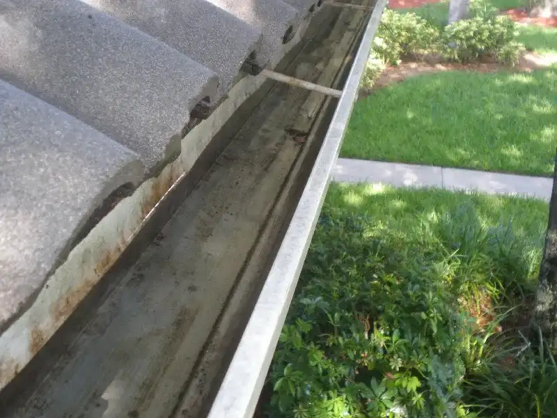 After Gutter Cleaning