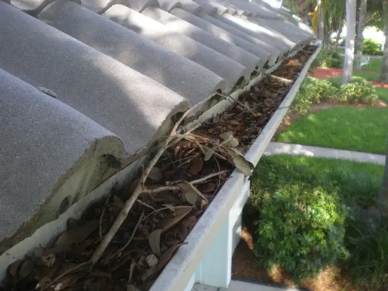 Before Gutter Cleaning