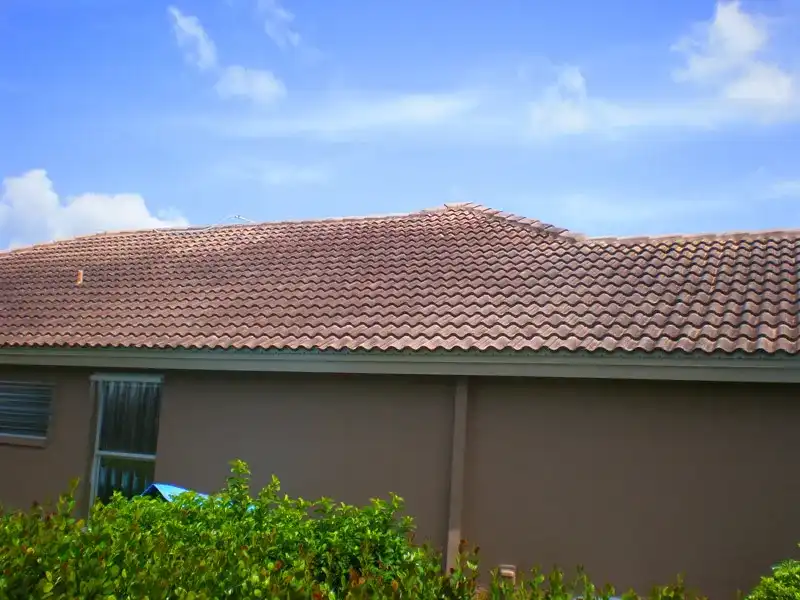 Before Tile Roof Cleaning