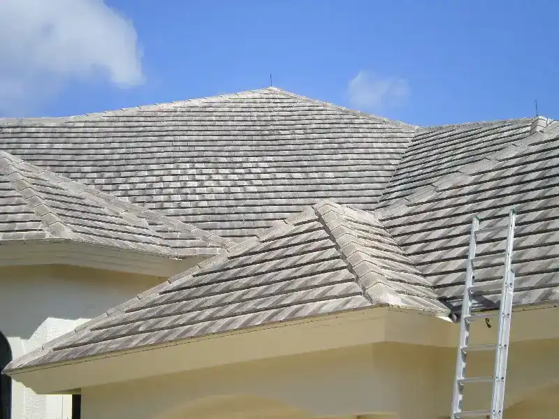 Before Tile Roof Soft-Wash