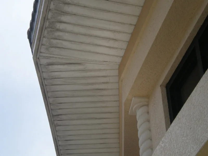 Before Soffit & Trim